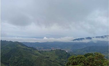 SE VENDEN MUY BUENOS LOTES VDA LA MIEL,CALDAS ENTRE 295' A 340' MM.