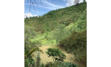 SE VENDEN MUY BUENOS LOTES VDA LA MIEL,CALDAS ENTRE 295' A 340' MM.