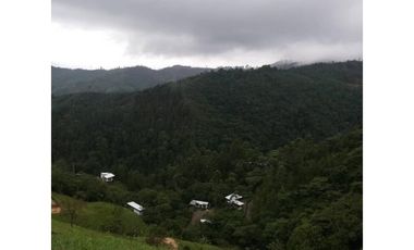 SE VENDEN MUY BUENOS LOTES VDA LA MIEL,CALDAS ENTRE 295' A 340' MM.