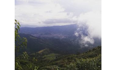 SE VENDEN MUY BUENOS LOTES VDA LA MIEL,CALDAS ENTRE 295' A 340' MM.