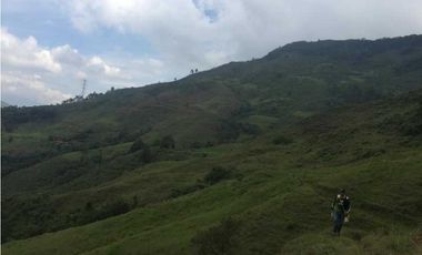 SE VENDEN MUY BUENOS LOTES VDA LA MIEL,CALDAS ENTRE 295' A 340' MM.