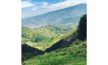 SE VENDEN MUY BUENOS LOTES VDA LA MIEL,CALDAS ENTRE 295' A 340' MM.