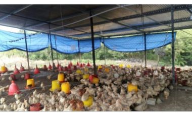 VENTA TERRENO CHEPO TORTI