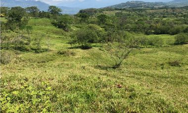 VENTA FINCA VALPARAISO, ANTIOQUIA. PARA HOTEL O INVERSIÓN.