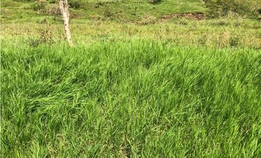 VENTA FINCA VALPARAISO, ANTIOQUIA. PARA HOTEL O INVERSIÓN.