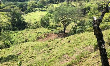 VENTA FINCA VALPARAISO, ANTIOQUIA. PARA HOTEL O INVERSIÓN.