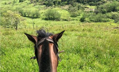 VENTA FINCA VALPARAISO, ANTIOQUIA. PARA HOTEL O INVERSIÓN.