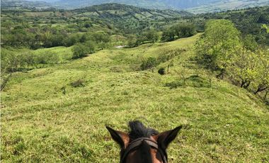 VENTA FINCA VALPARAISO, ANTIOQUIA. PARA HOTEL O INVERSIÓN.