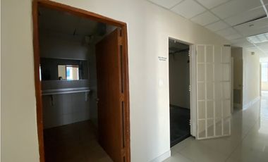 ALQUILER DE OFICINA EN CALLE 50 (JM)