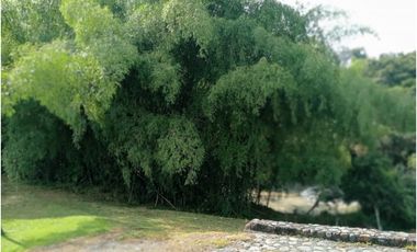 FINCA EN SANTAGUEDA  18 y 29 PAX