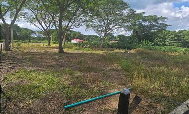 LOTE CAMPESTRE EN VENTA EN MONTERIA CORDOBA