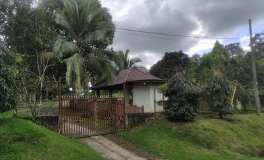 Venta de Finca con Vivienda y Producción en Santo Domingo, Chiriquí