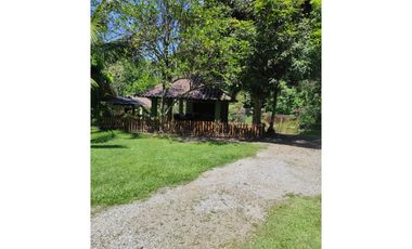 Venta de Finca con Vivienda y Producción en Santo Domingo, Chiriquí