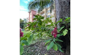 APARTAMENTO AMOBLADO EN PH  ALBROOK PARK
