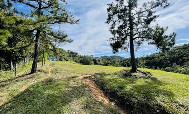 Se vende finca de 2.5 hectáreas en San Roque, Antioquia