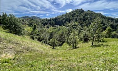 Se vende finca de 2.5 hectáreas en San Roque, Antioquia