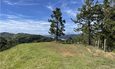 Se vende finca de 2.5 hectáreas en San Roque, Antioquia