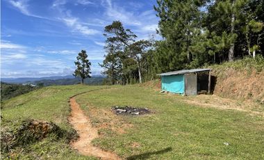 Se vende finca de 2.5 hectáreas en San Roque, Antioquia