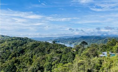Se vende finca de 2.5 hectáreas en San Roque, Antioquia