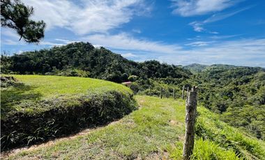 Se vende finca de 2.5 hectáreas en San Roque, Antioquia