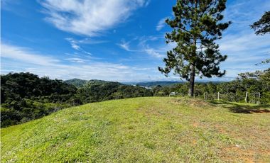 Se vende finca de 2.5 hectáreas en San Roque, Antioquia