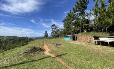 Se vende finca de 2.5 hectáreas en San Roque, Antioquia