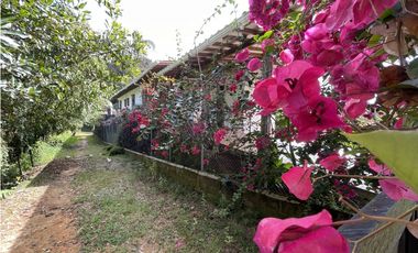 Se vende finca de 2.5 hectáreas en San Roque, Antioquia