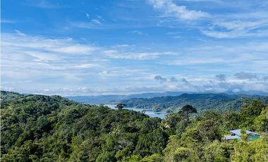 Se vende finca de 2.5 hectáreas en San Roque, Antioquia