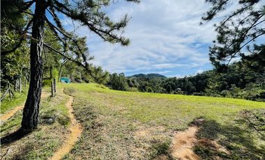 Se vende finca de 2.5 hectáreas en San Roque, Antioquia