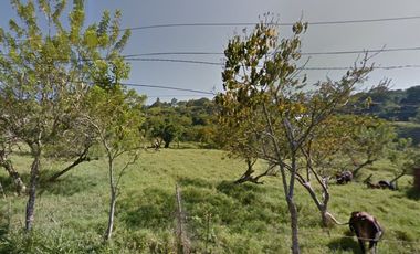 Lote en venta. Amaga. Cod 7232571