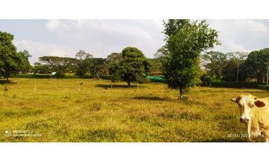 VENTA DE FINCA JAMUNDI POTRERITO.