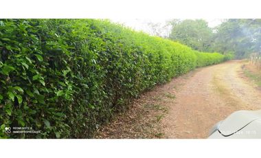 VENTA DE FINCA JAMUNDI POTRERITO.