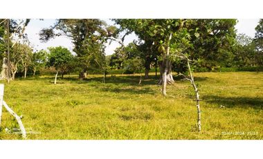 VENTA DE FINCA JAMUNDI POTRERITO.