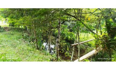 VENTA DE FINCA JAMUNDI POTRERITO.