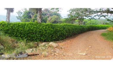 VENTA DE FINCA JAMUNDI POTRERITO.