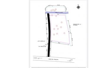 VENDE LOTE IDEAL PARA PROYECTO EN COVEÑAS SUCRE