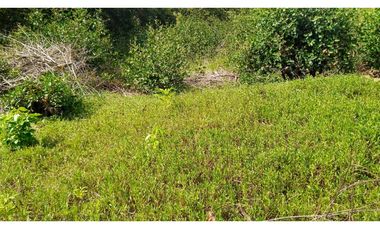 VENDE LOTE IDEAL PARA PROYECTO EN COVEÑAS SUCRE