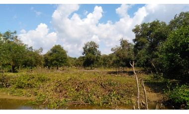 VENDE LOTE IDEAL PARA PROYECTO EN COVEÑAS SUCRE