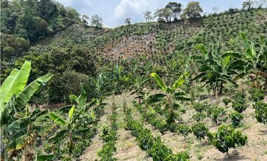 Se Vende Finca en Nocaima