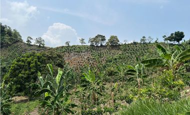 Se Vende Finca en Nocaima