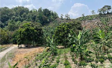 Se Vende Finca en Nocaima