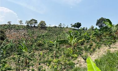 Se Vende Finca en Nocaima