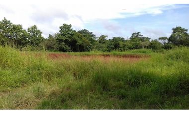Se Alquila Terreno en Arraijan