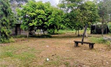 Vendo finca en Sioguí Abajo, Bugaba. Para agricultura o ganadería