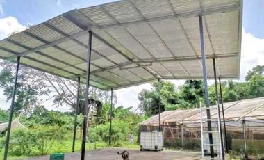 Vendo finca en Sioguí Abajo, Bugaba. Para agricultura o ganadería