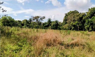 Vendo finca en Sioguí Abajo, Bugaba. Para agricultura o ganadería