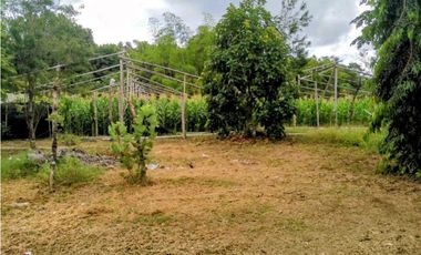Vendo finca en Sioguí Abajo, Bugaba. Para agricultura o ganadería
