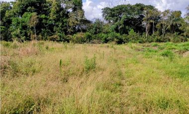 Vendo finca en Sioguí Abajo, Bugaba. Para agricultura o ganadería
