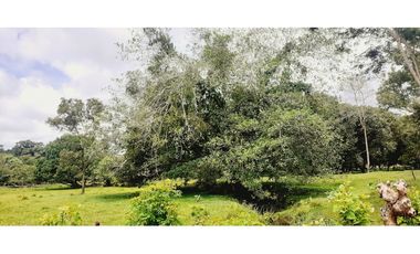 C.S Se vende hermosa finca para proyectos o ganadería