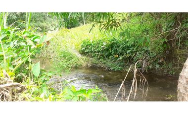 C.S Se vende hermosa finca para proyectos o ganadería